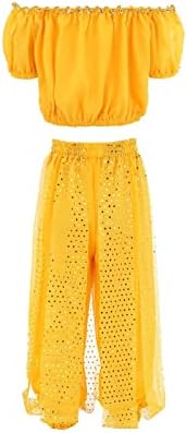 Vibrant Chiffon Outfit for Girls and Dancers