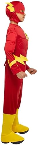 DC Kids Flash costume
