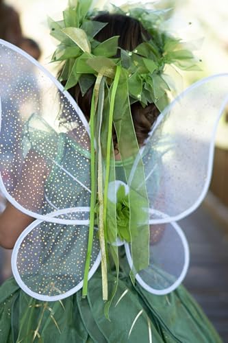 Little Adventures Shimmer Wings Costume Dress Up