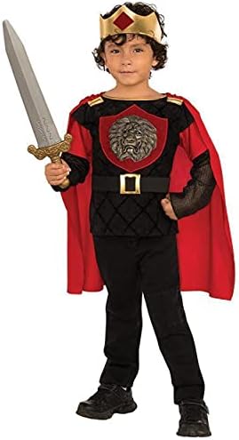 Rubies Little Knight Costume Medium Multicolor