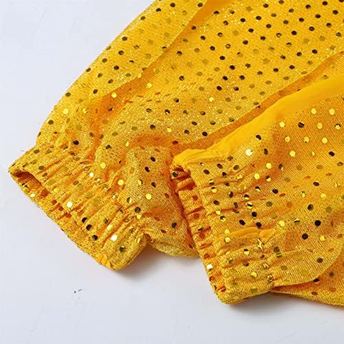 Vibrant Chiffon Outfit for Girls and Dancers