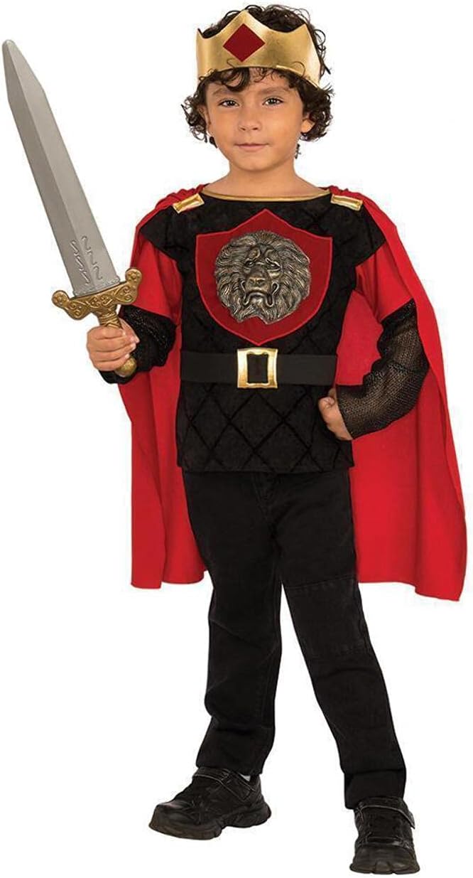 Rubies Little Knight Costume Medium Multicolor