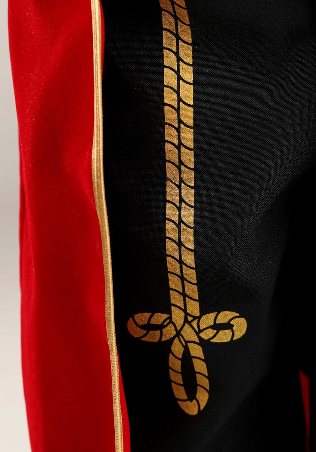 Ringmaster Kids Costume for Performers