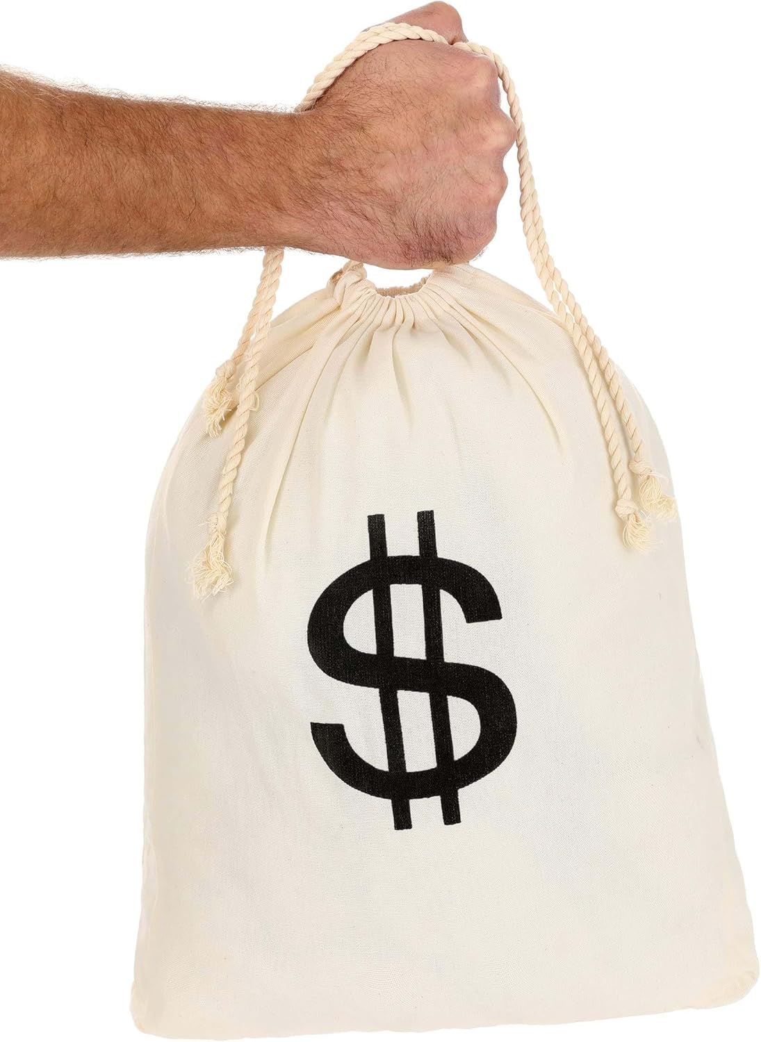 Bank Robber Money Bag from Fun Costumes